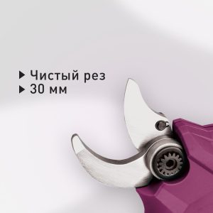 Изображение товара 1019378