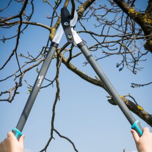 Изображение товара 983935