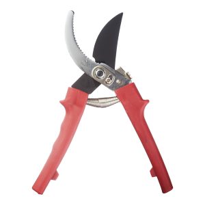 Изображение товара 986123