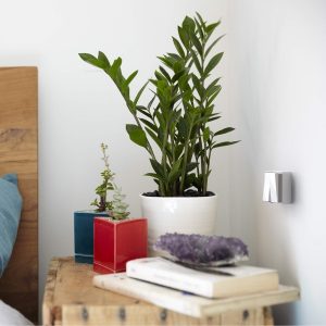 Изображение товара 1140017