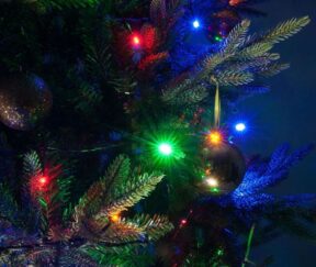 Изображение товара 1049027