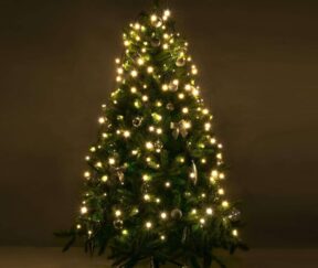 Изображение товара 1049048