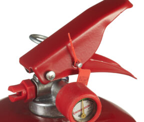 Изображение товара 1024221