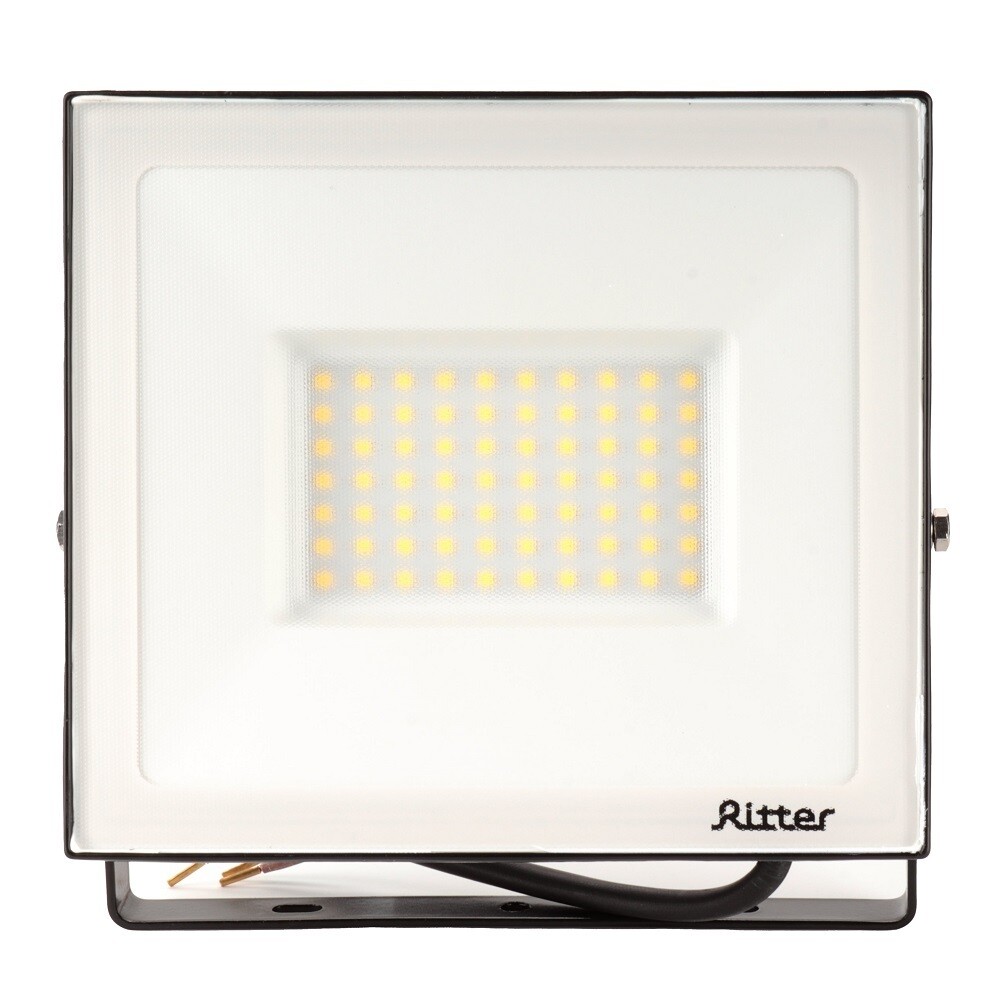 original-2363.jpg Прожектор светодиодный Ritter Profi 4000K 70 Вт IP65 черный — изображение 1