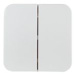 Выключатель Systeme Electric Blanca двухклавишный накладной алюминий (BLNVA105013)