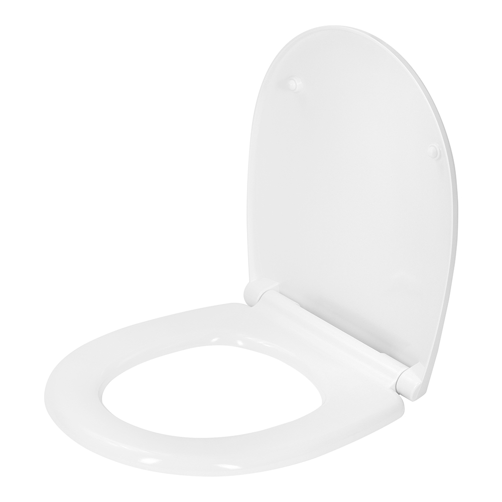 original-4780.jpg Сиденье для унитаза Real SO дюропласт с микролифтом быстросъемное (010703) — изображение 1