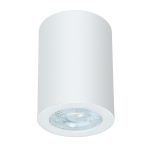 Светильник потолочный Arte Lamp Tino GU10 35 Вт 2 кв.м белый IP20 (A1468PL-1WH)