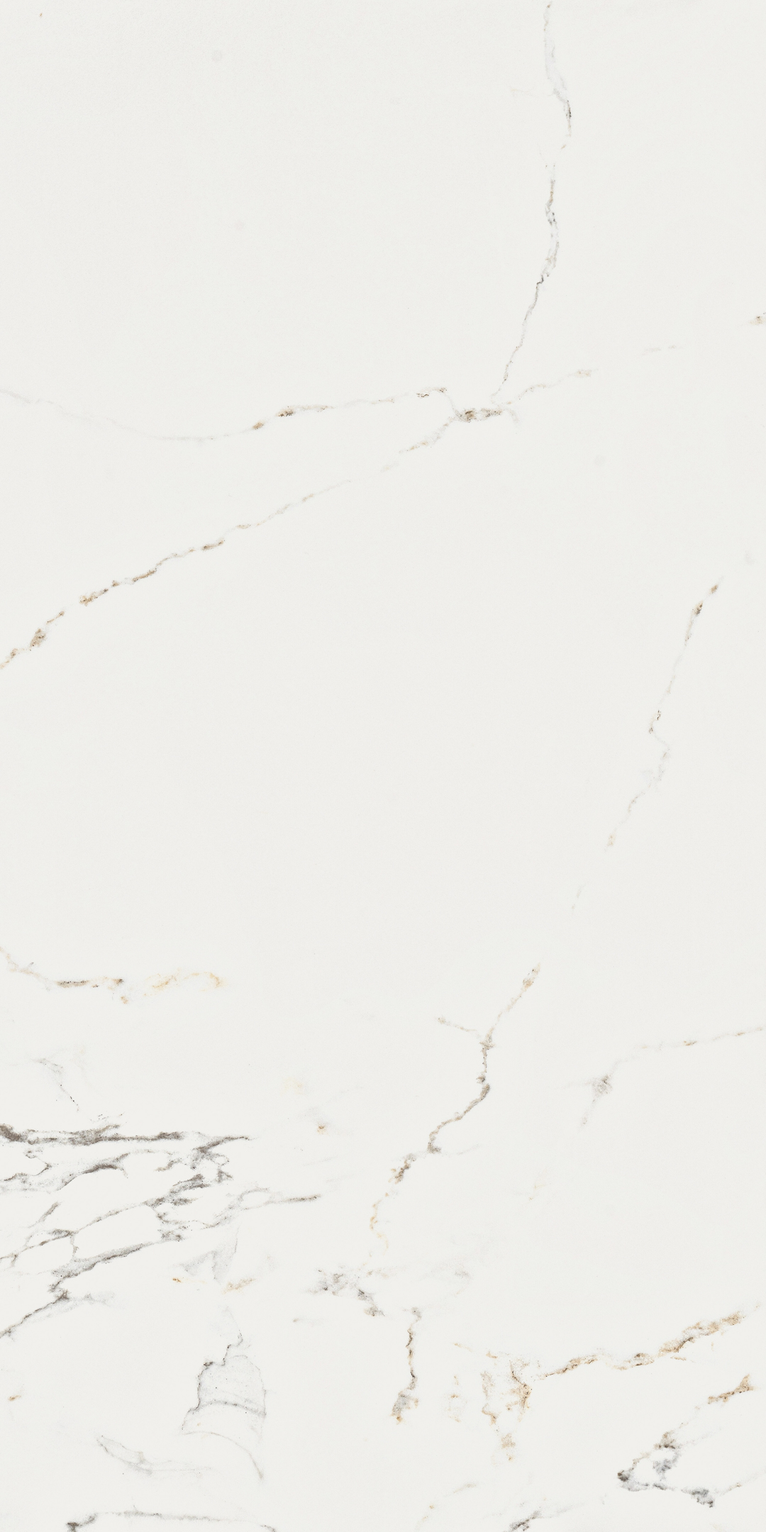 original-13187.jpg Изображение товара 1021383