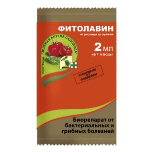 Изображение товара 1052416