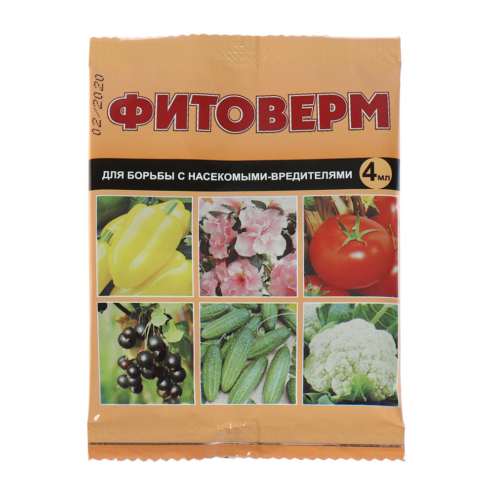 original-6020.jpg Изображение товара 1052374